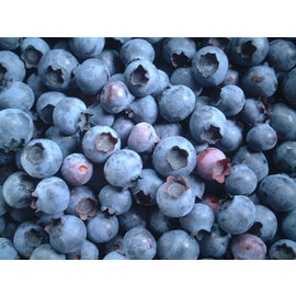 blueberry03
