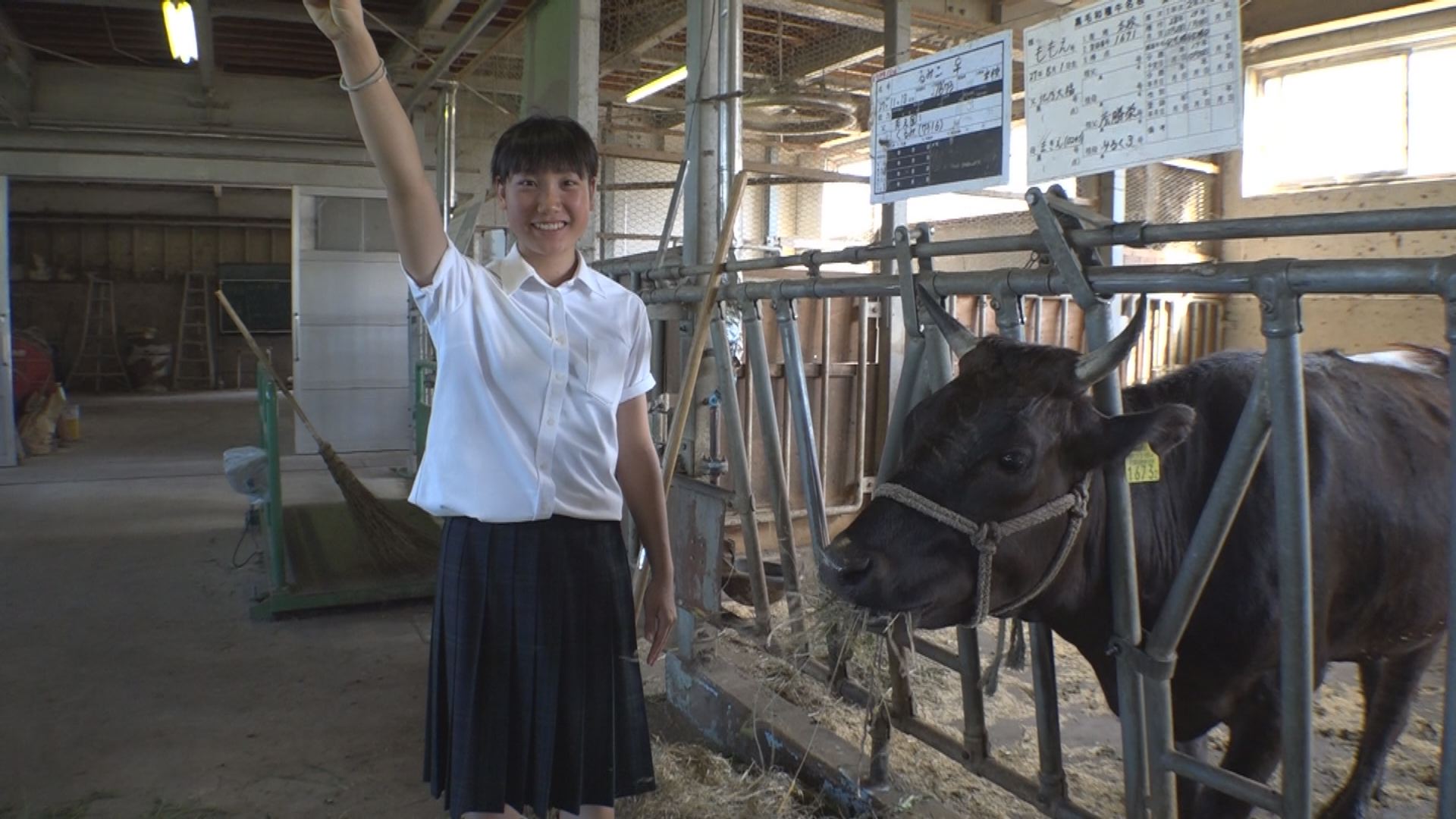 牛の目利き競う全国大会へ 高田農業3年 塚田玲さん　