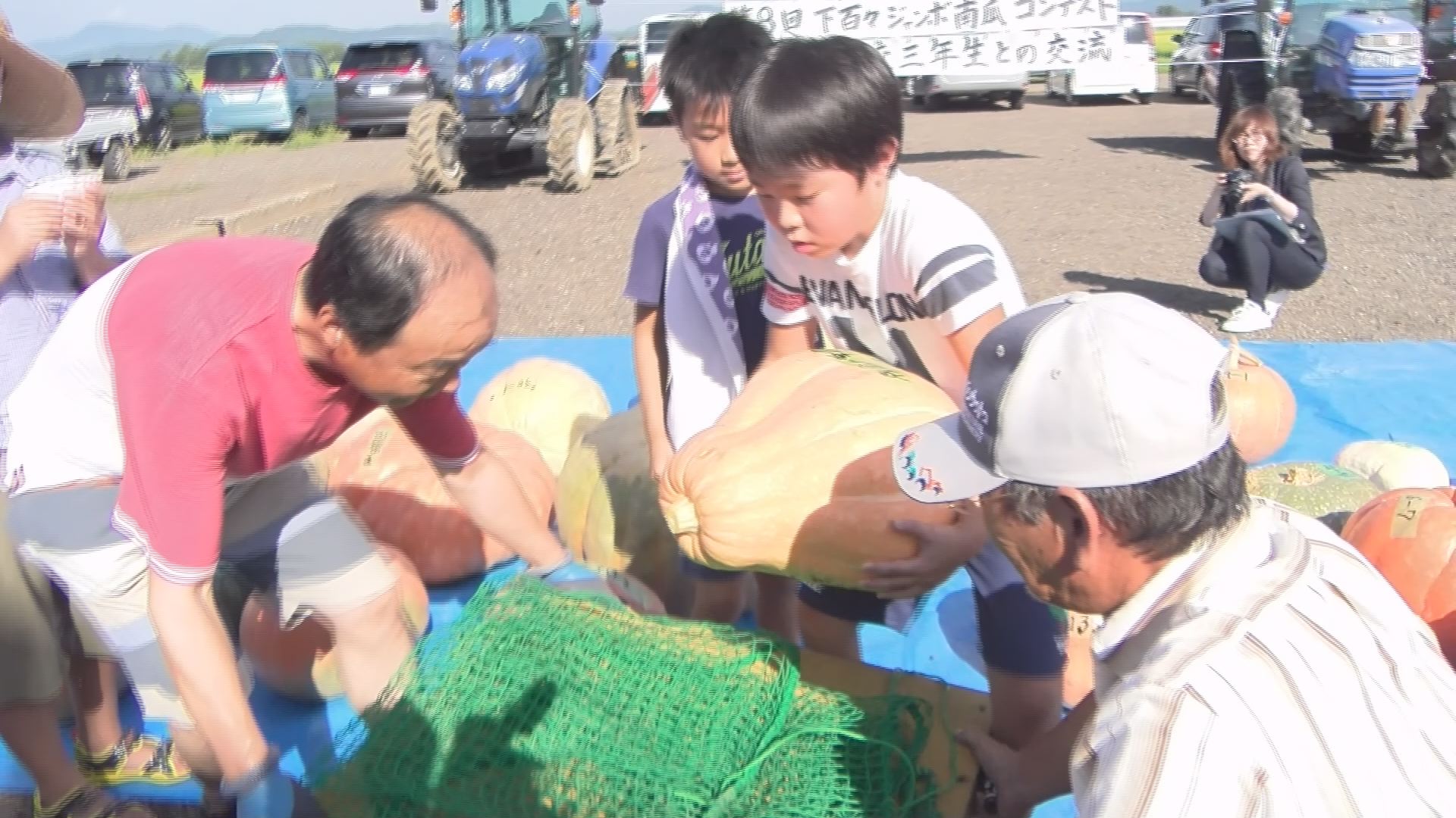 上越市下百々でジャンボかぼちゃコンテスト 保倉小児童も参加