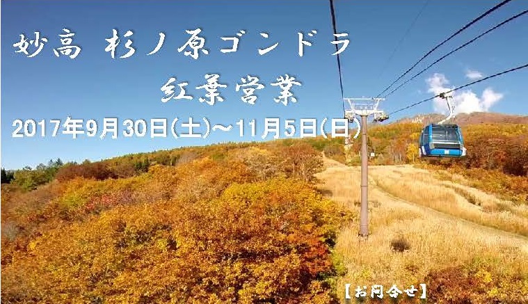 18分の天空遊覧！「妙高杉ノ原ゴンドラ」紅葉営業　9月30日～