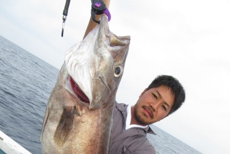 最新釣り情報  秋はシーズン！ アジ・サヨリ・カマス・・・