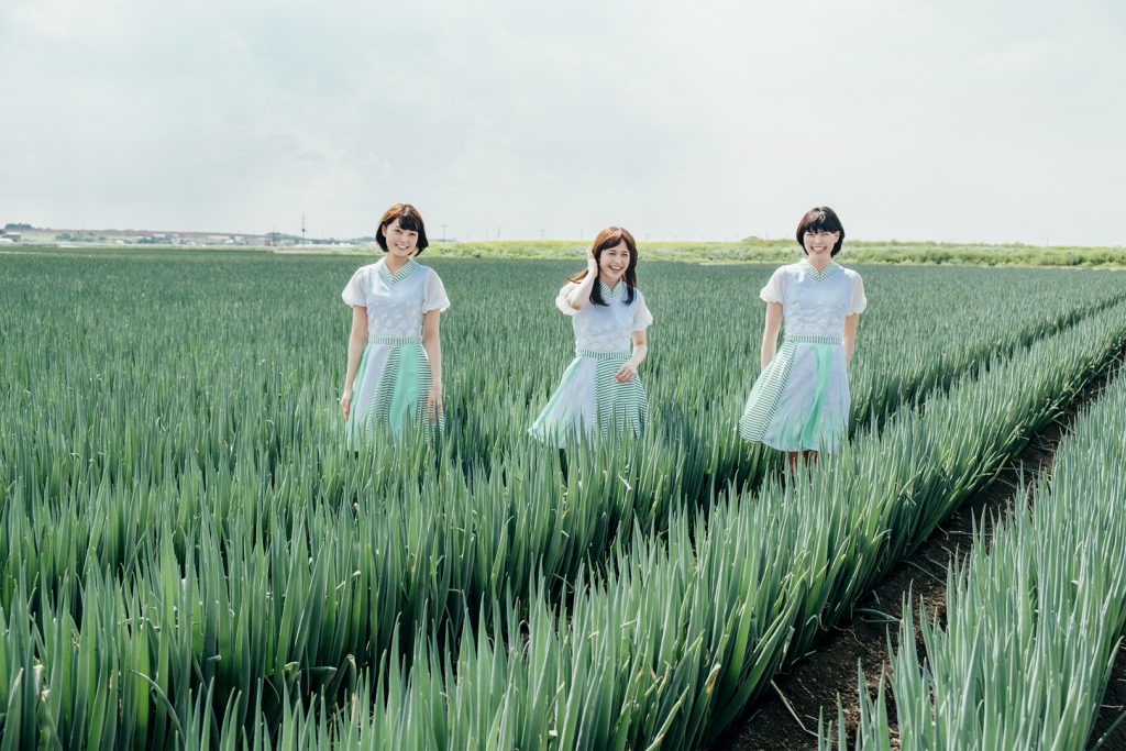 Negicco
