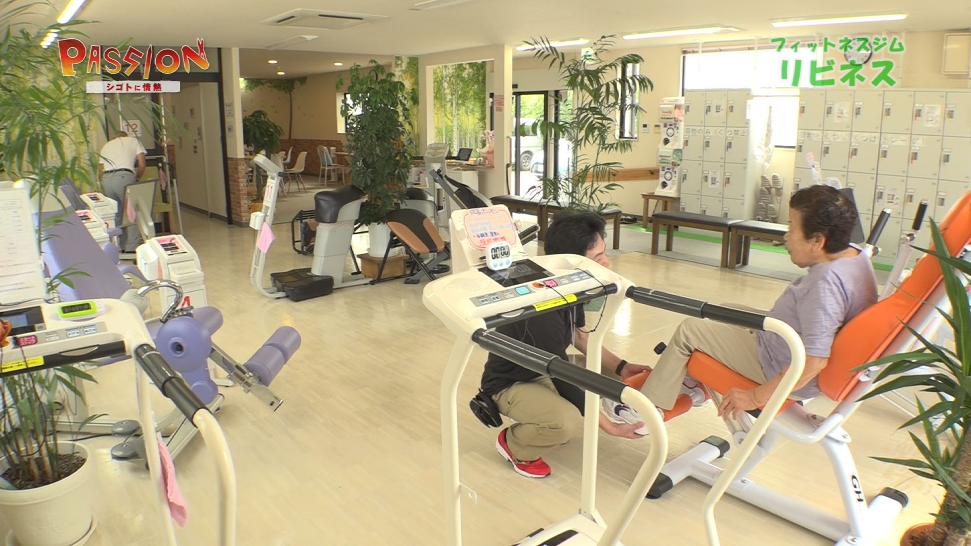 【動画】リビネス～上越市新光町