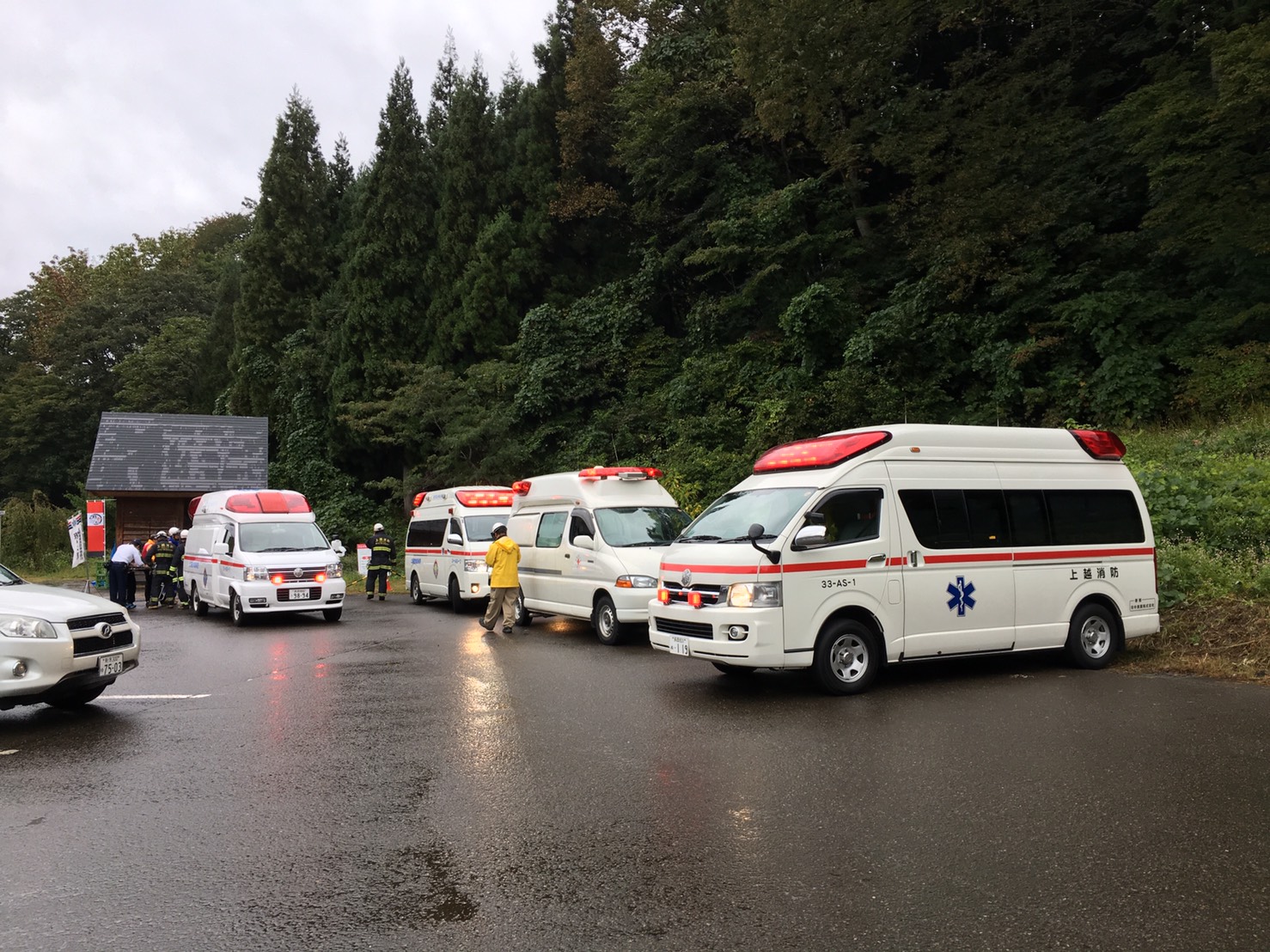 桑取の山中でランナーがハチに刺される　