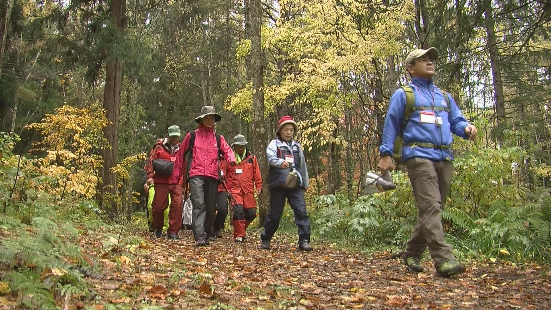 運動効果抜群！笹ヶ峰で気候療法ウォーキング講座