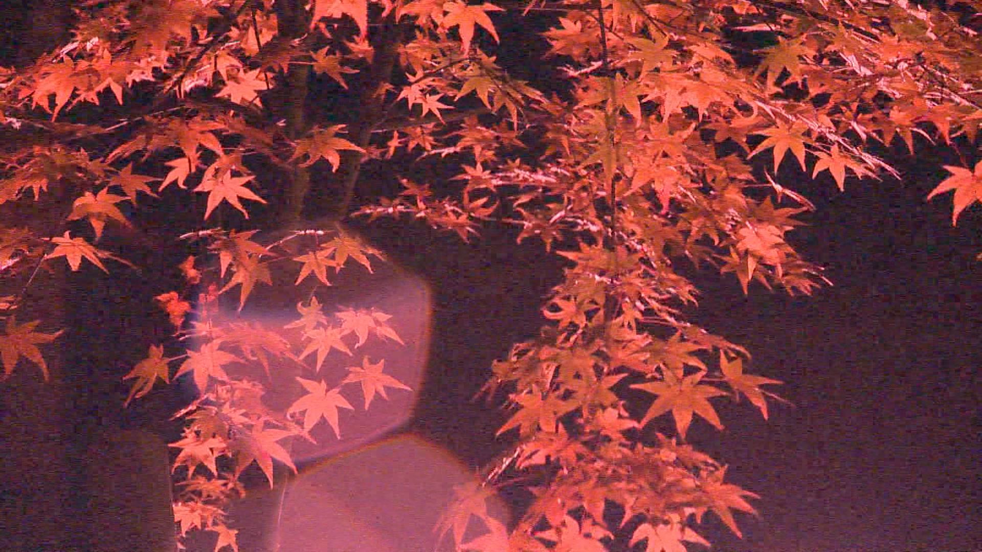 Still1018_00001
