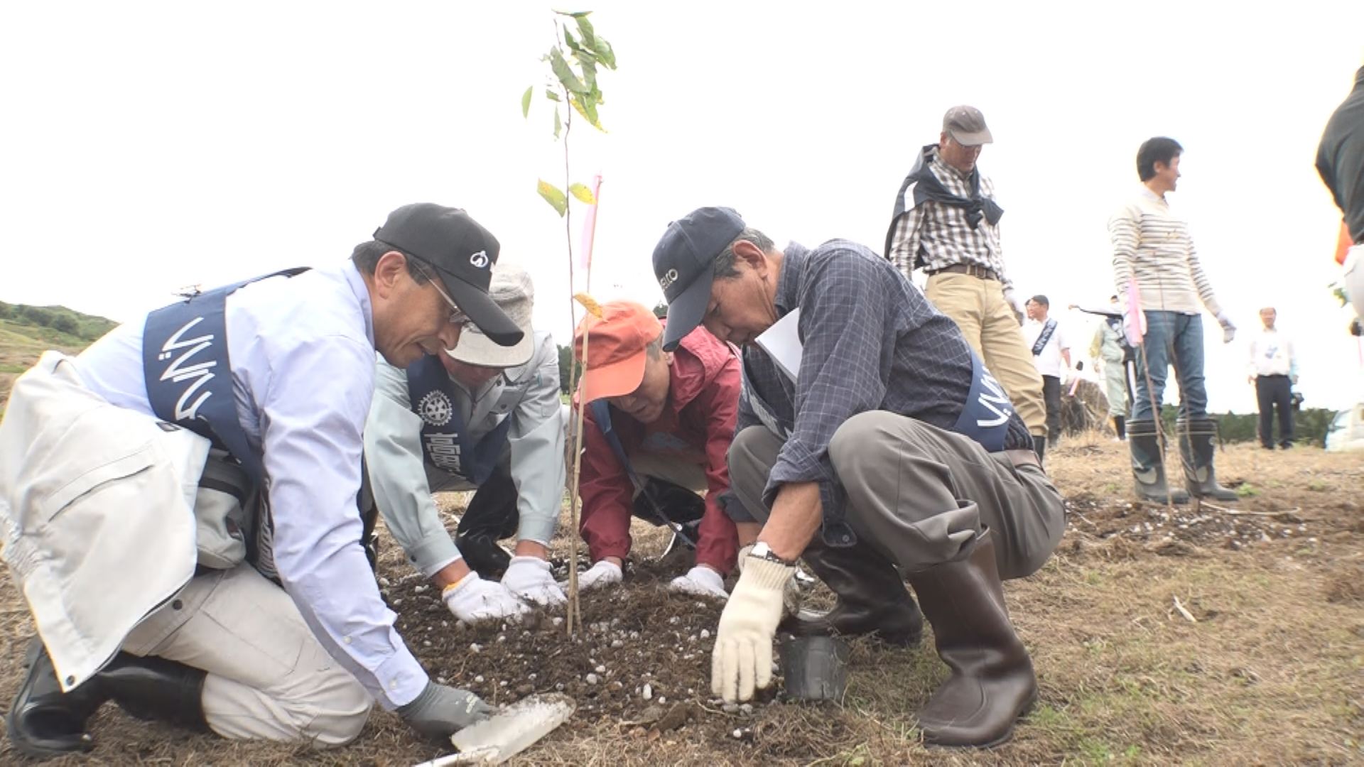 復興を願い 板倉区地すべり跡地に植樹　