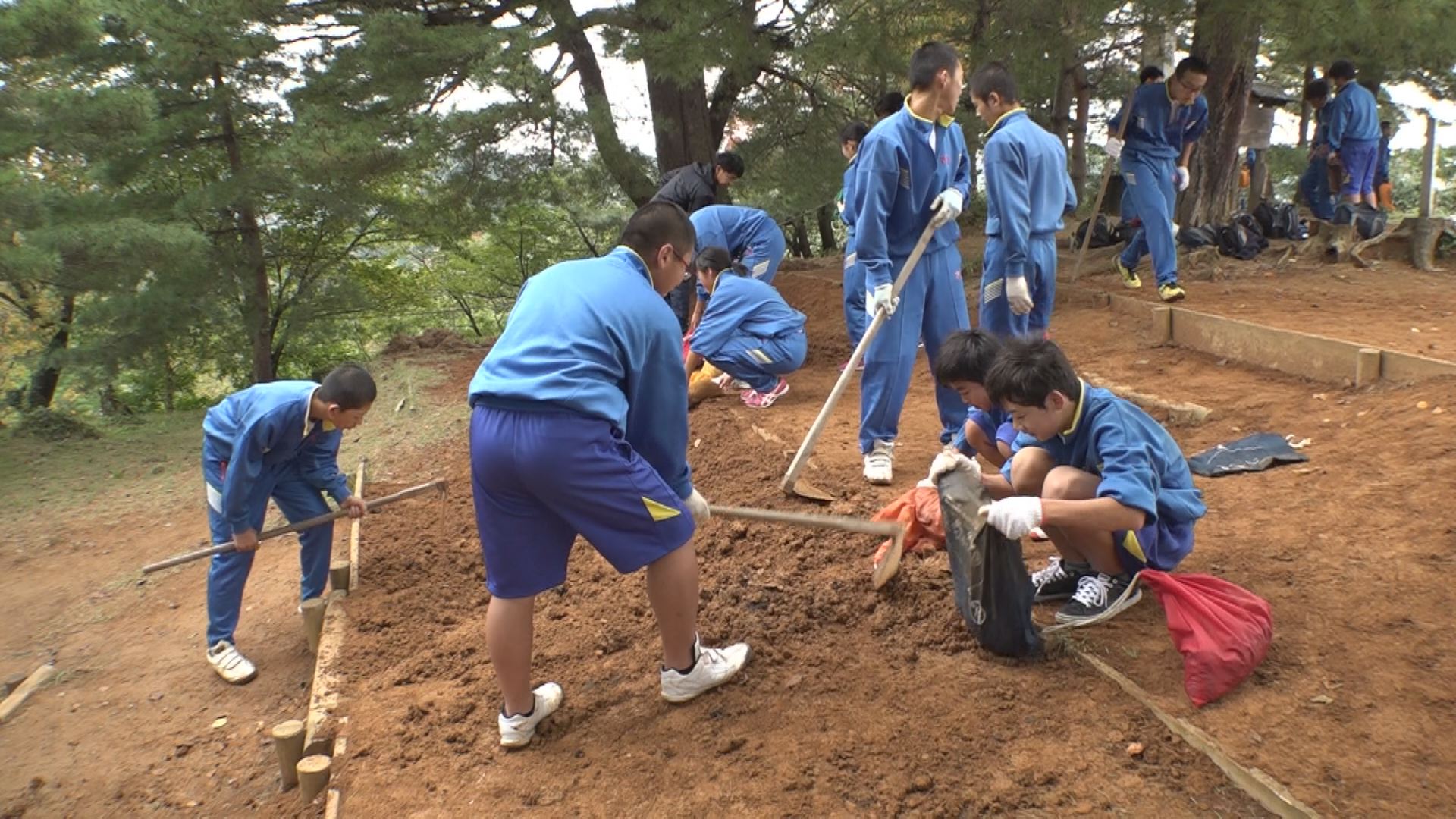 春日中の生徒 春日山城址で保全活動