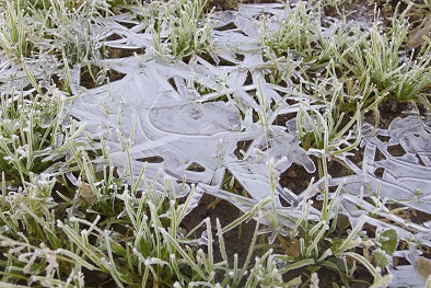 今朝は各地で氷点下 寒暖差に注意