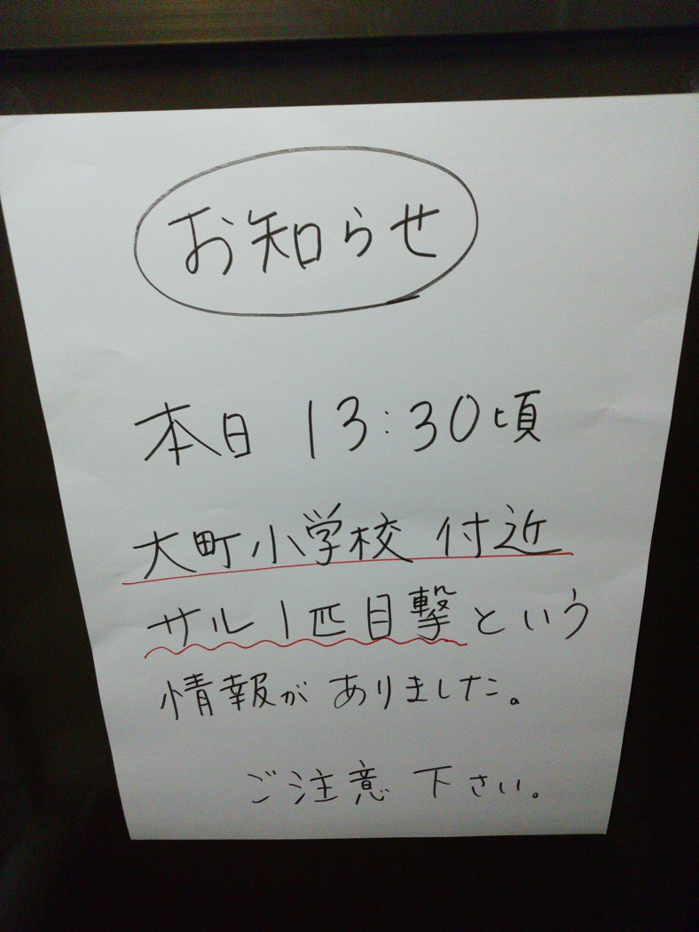 7日昼過ぎ 高田市街地にサル出没　