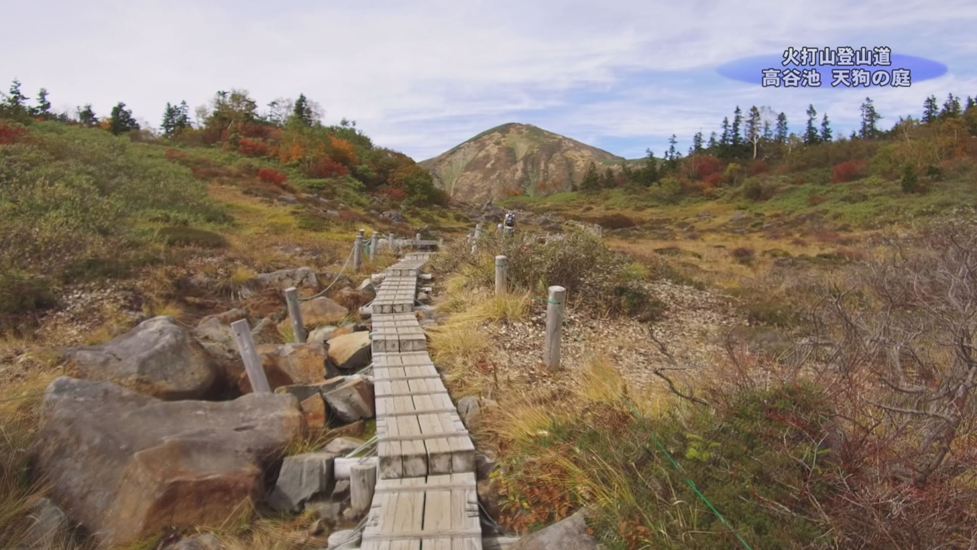 【動画】標高2100ｍの庭園 火打山登山道