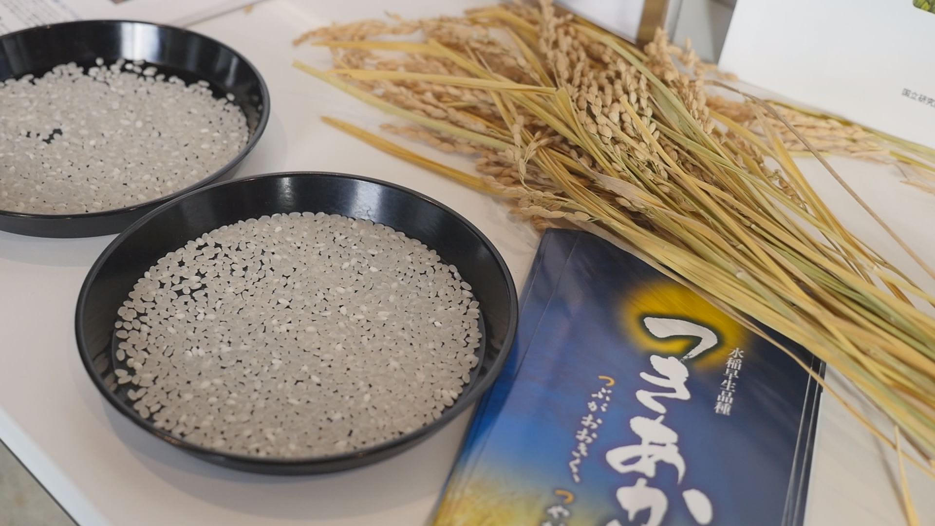 JA,つきあかり増産へb (2)