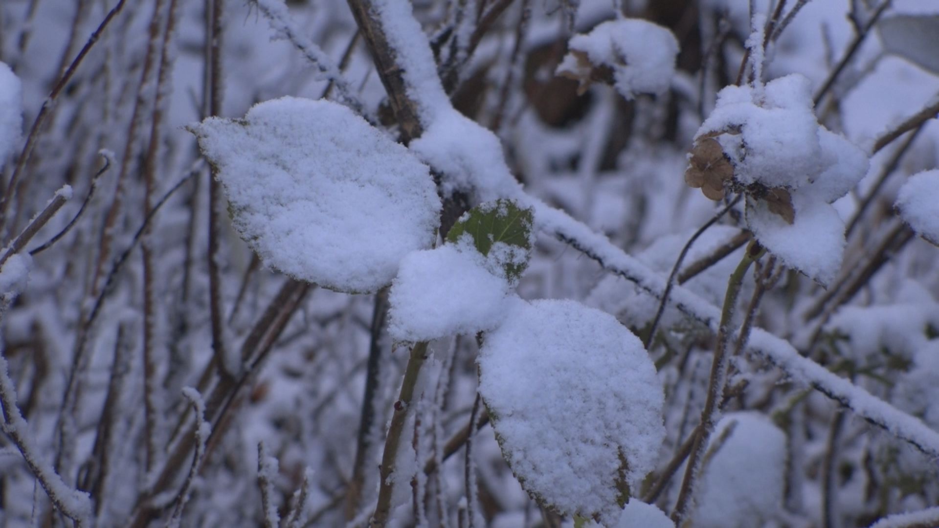 日中も山間部は雪 安塚で今季最低0.2℃