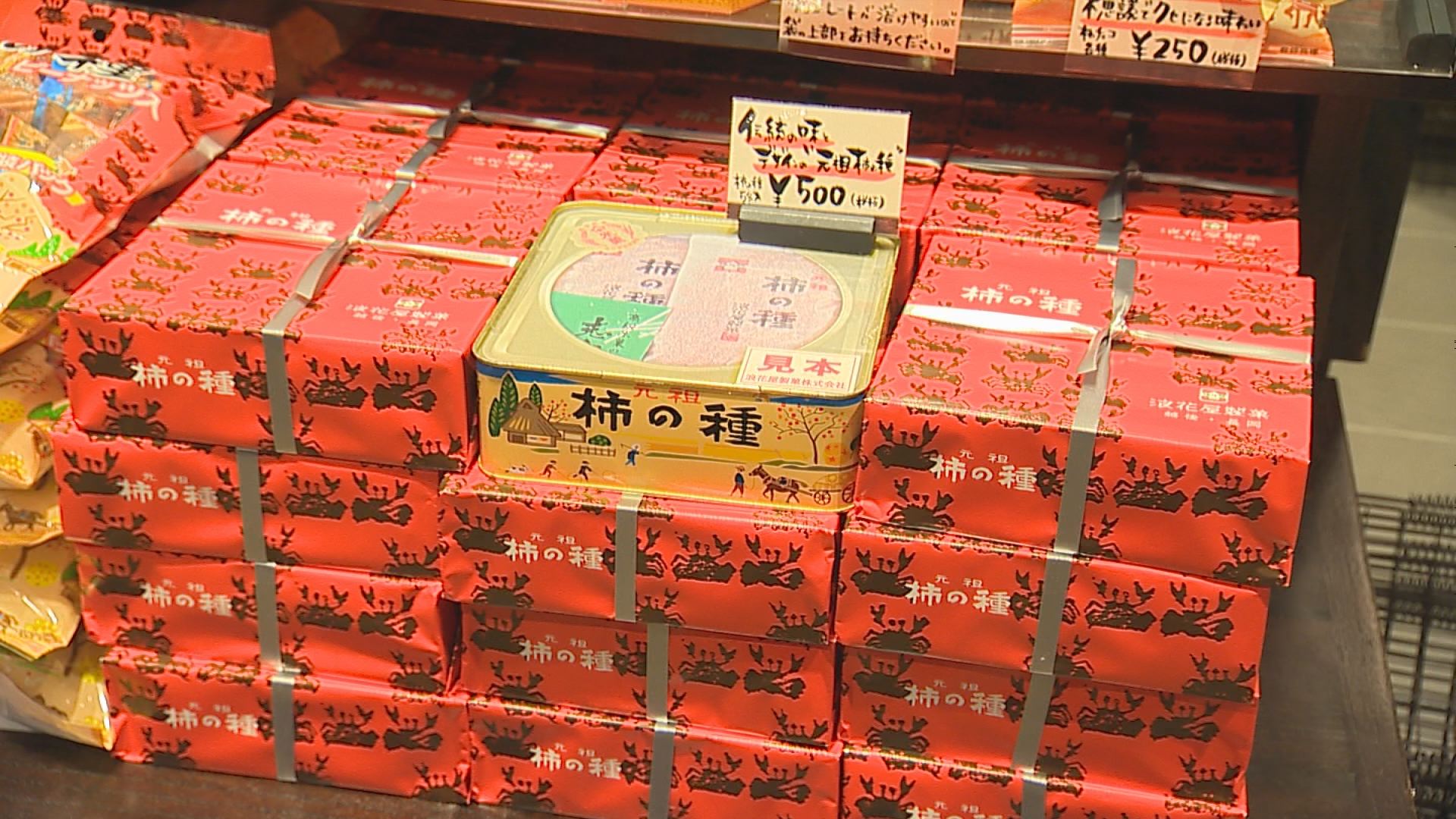 SAKURAプラザ (9)
