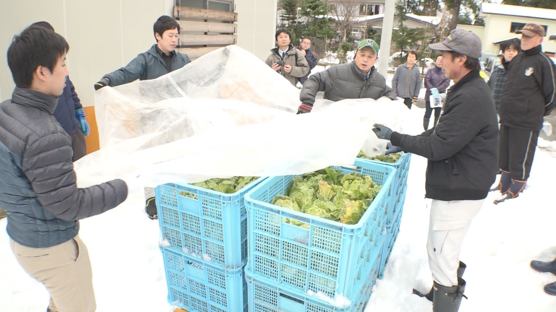 簡易雪室 誰でも簡単に設置できます！