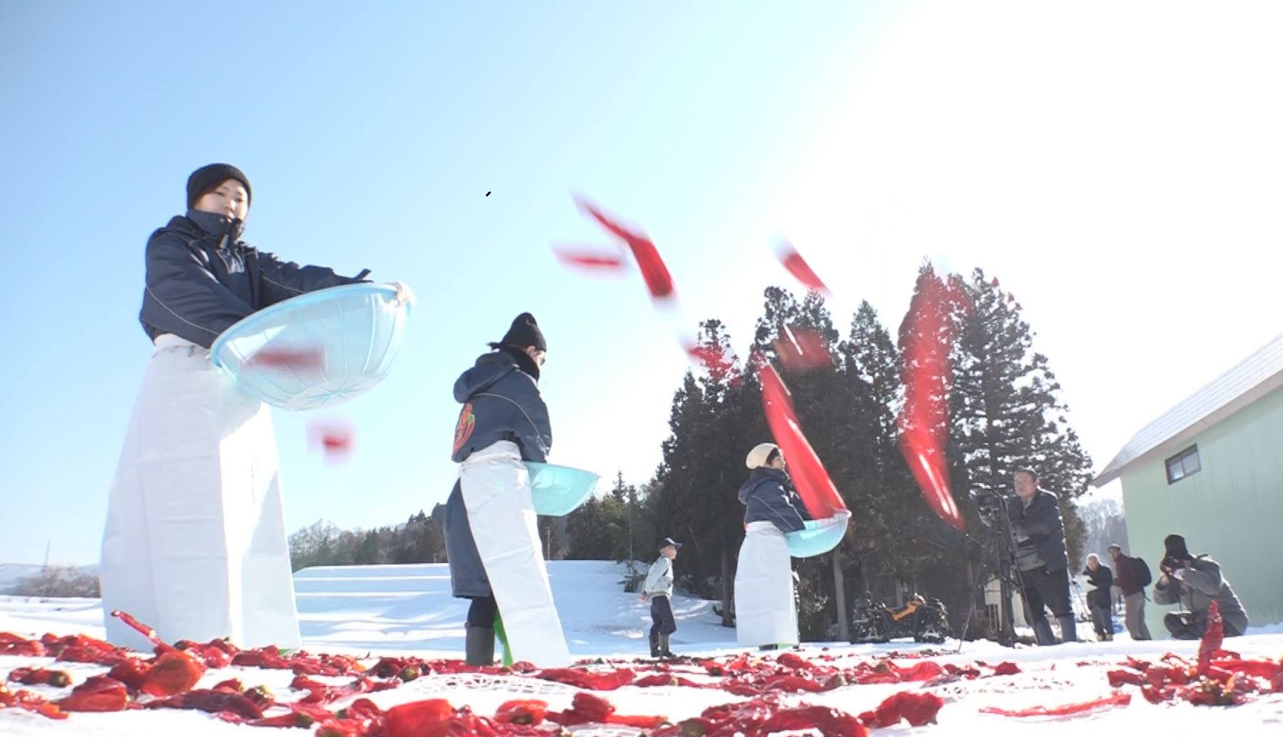 外国人記者も注目！ トウガラシの雪さらし