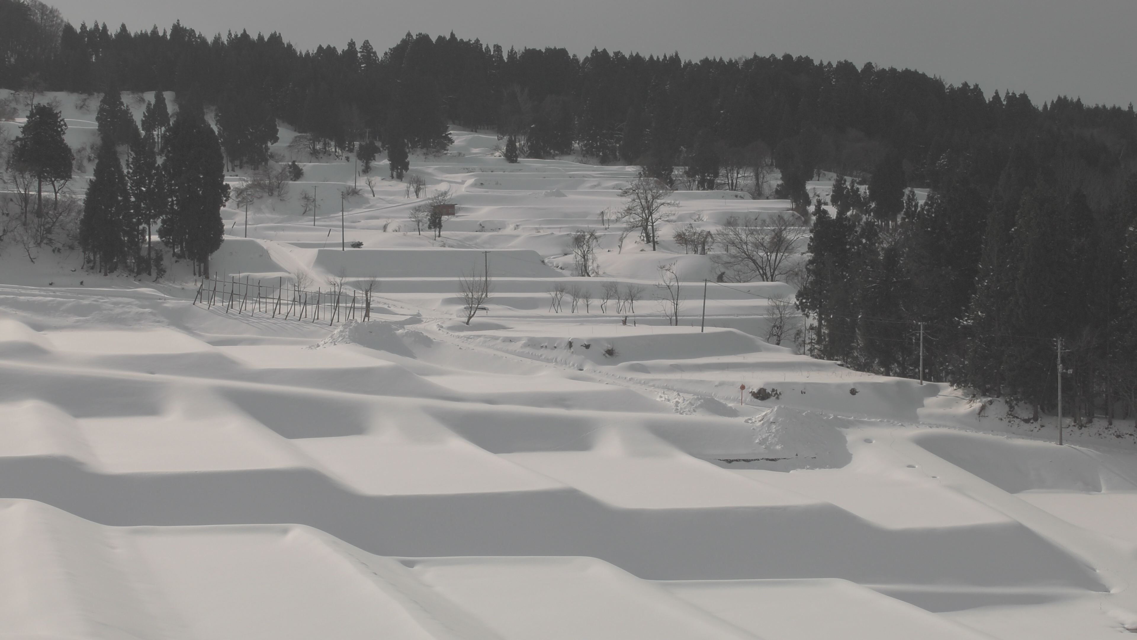 【動画】牧区泉 雪の棚田