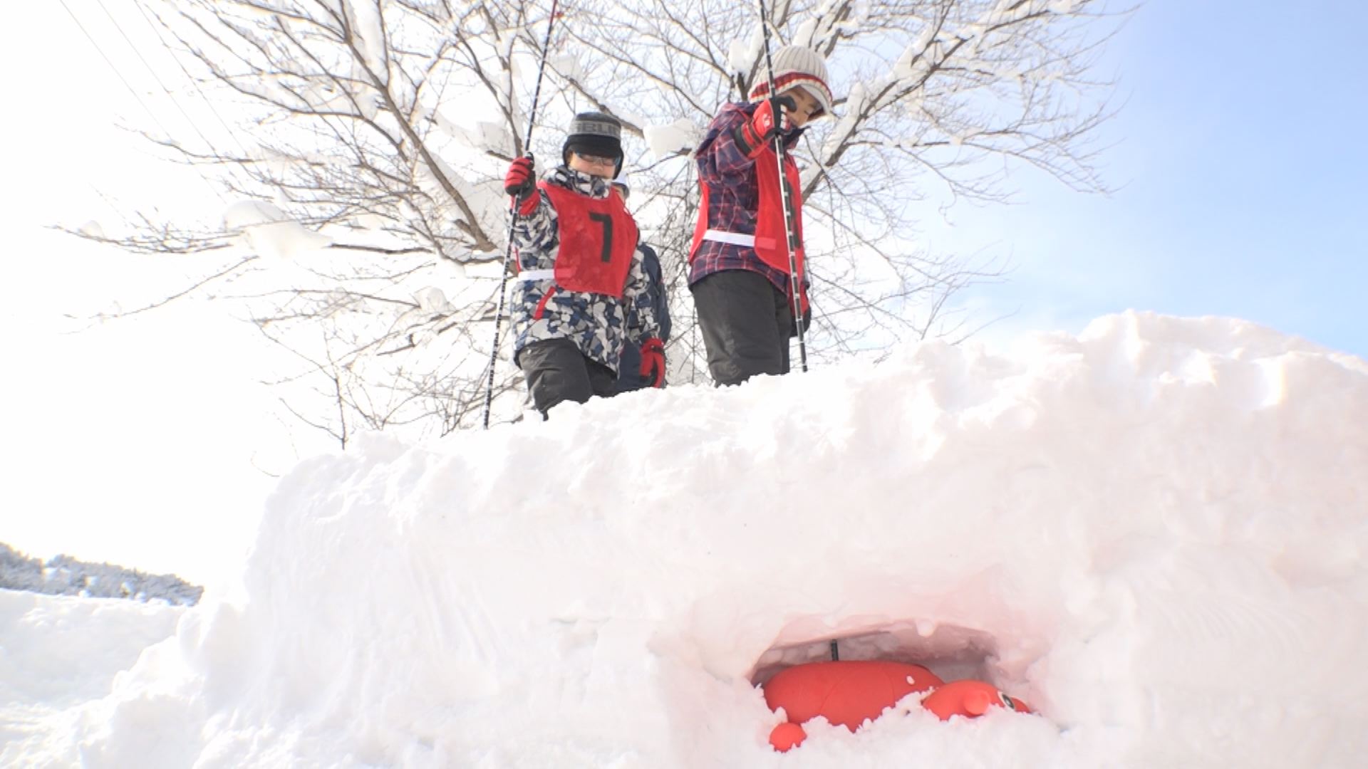 ぬいぐるみを捜索！雪崩から身を守る防災教室