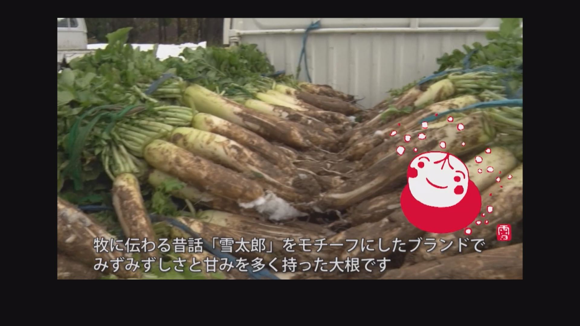 牧区ＰＶ02