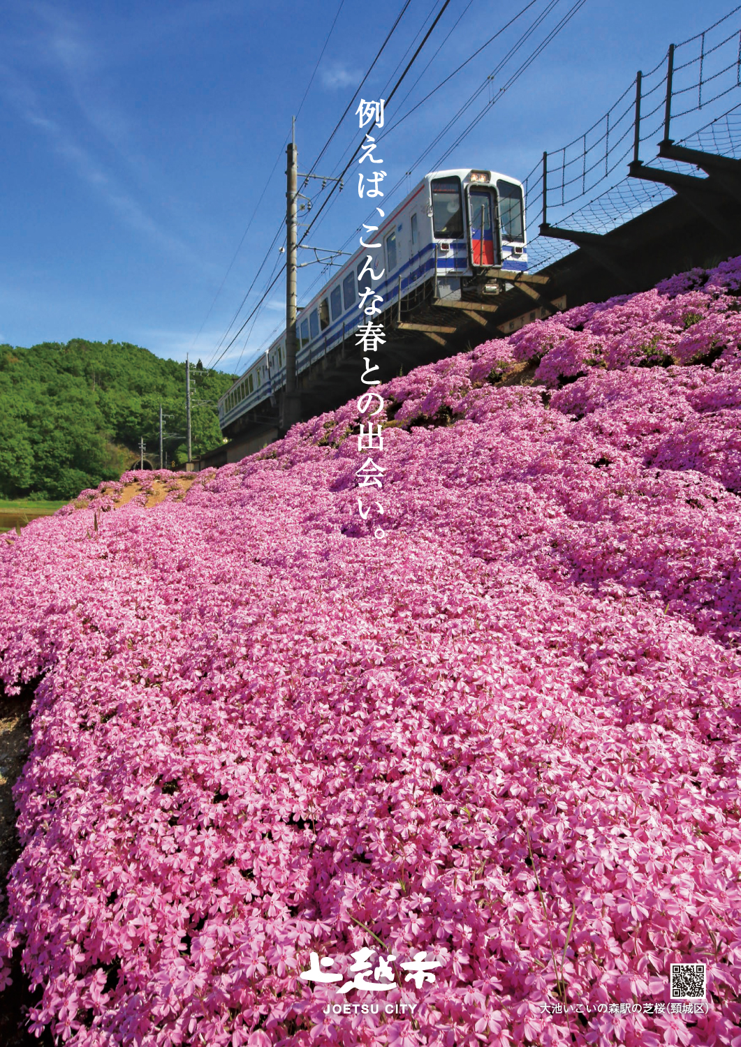 springA3_web