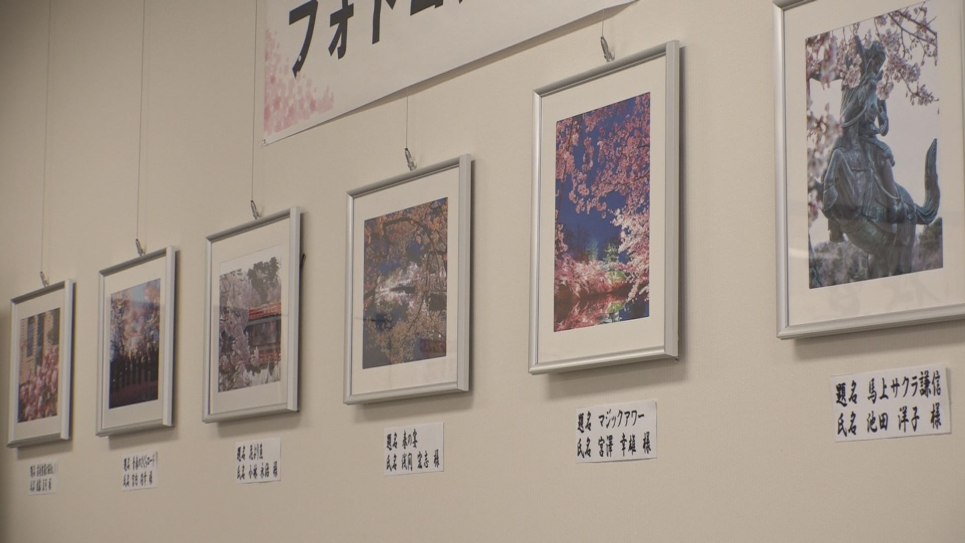 180208_桜フォトコン03