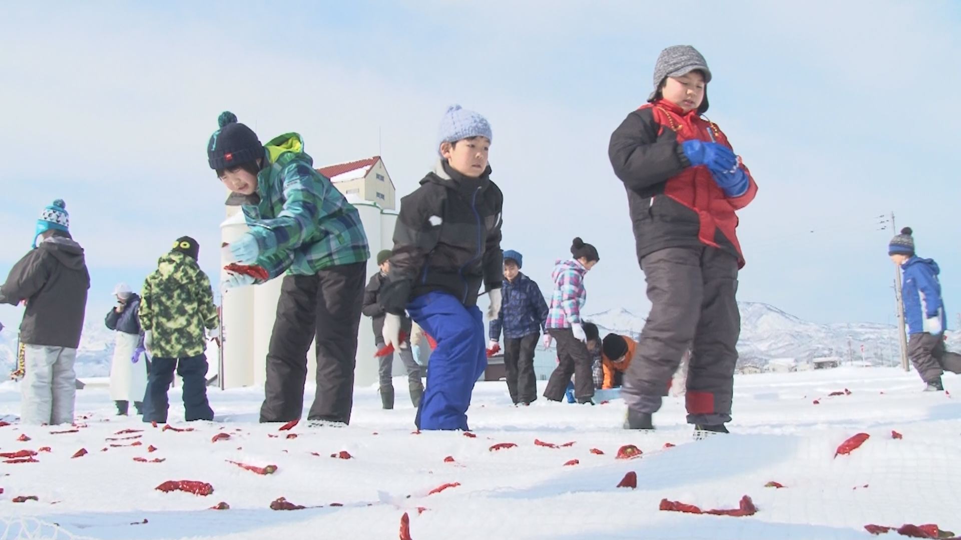 身近な調味料“かんずり” 児童がトウガラシ雪さらし！　