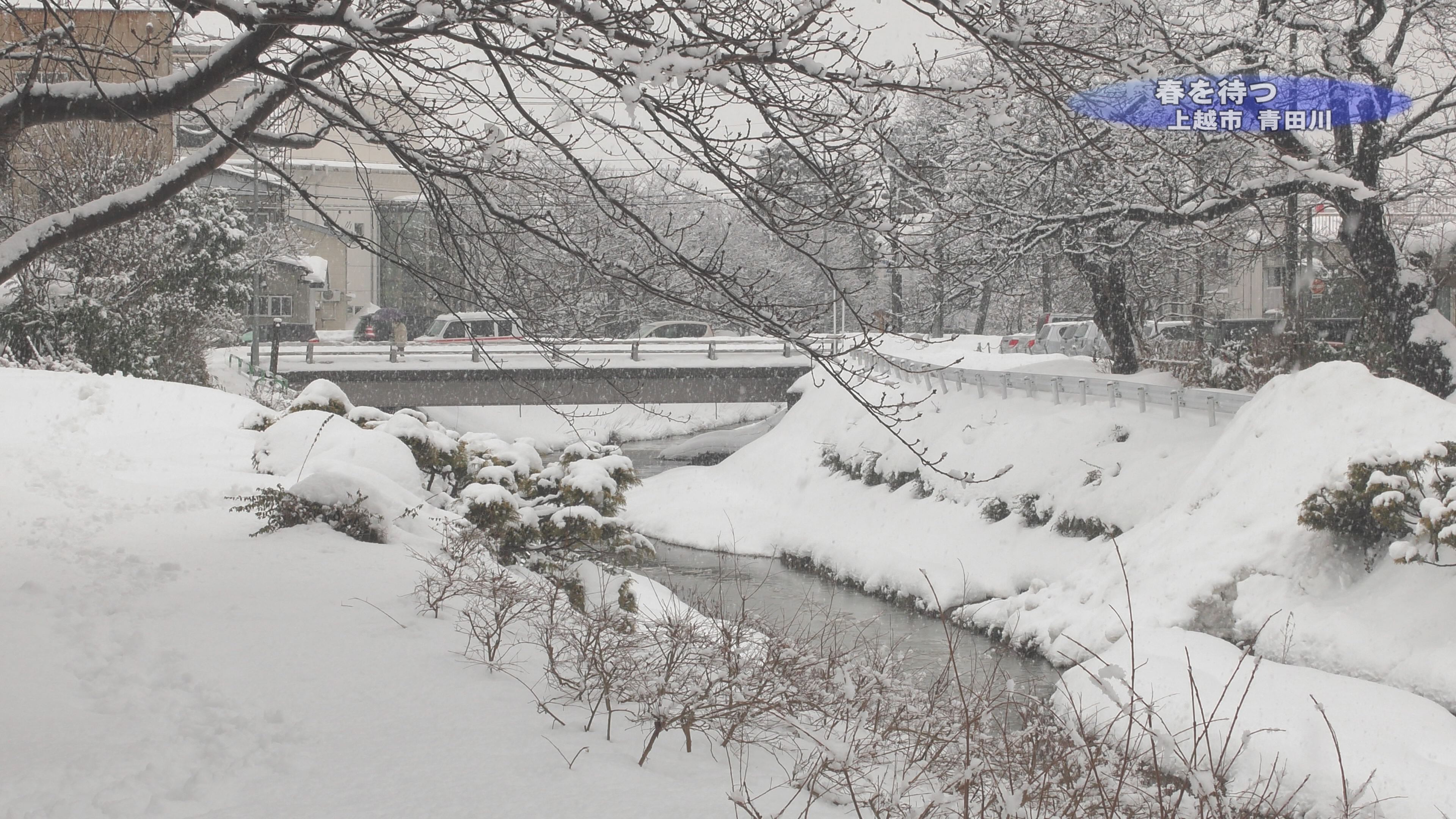 【動画】 春を待つ青田川
