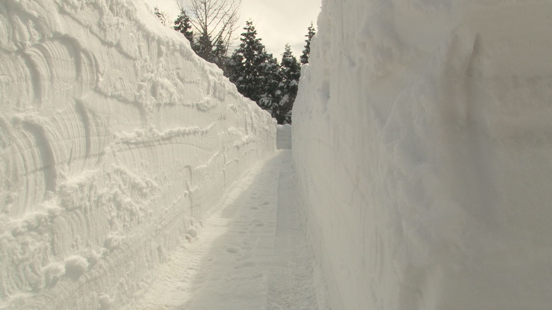 笑学館名物！今年も雪壁の巨大迷路出現