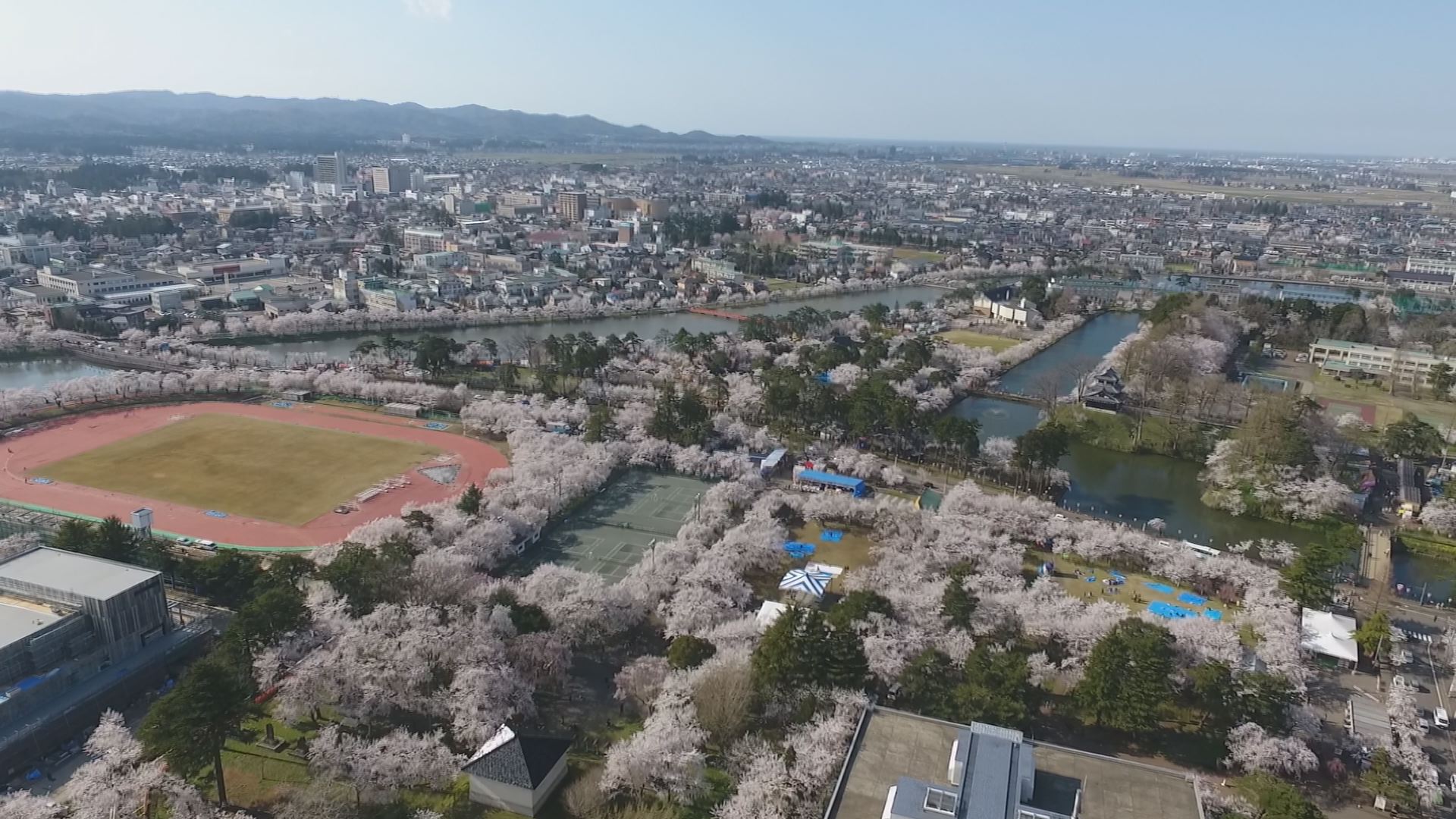 2017観桜会6