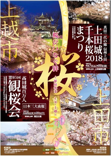 無題DDD