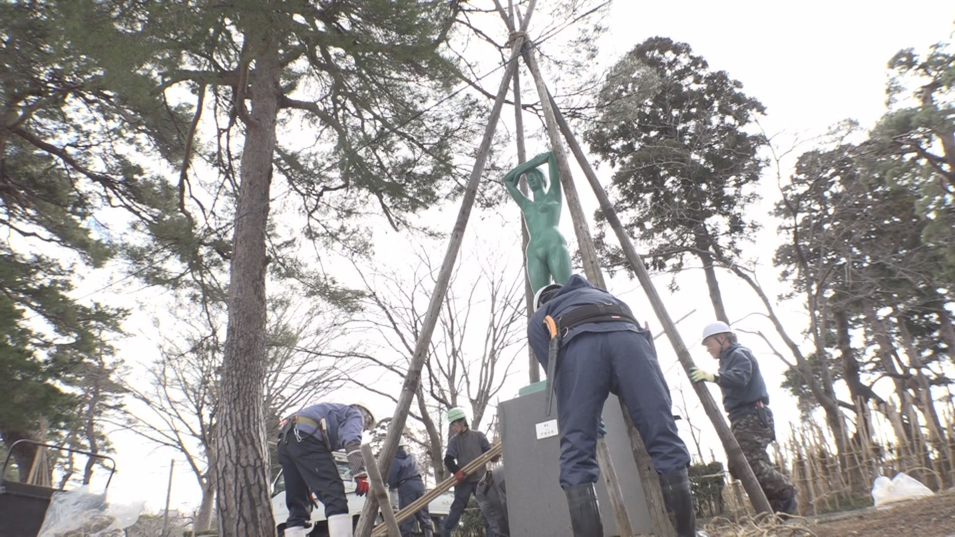 冬服脱ぎます！高田公園で冬囲い外し