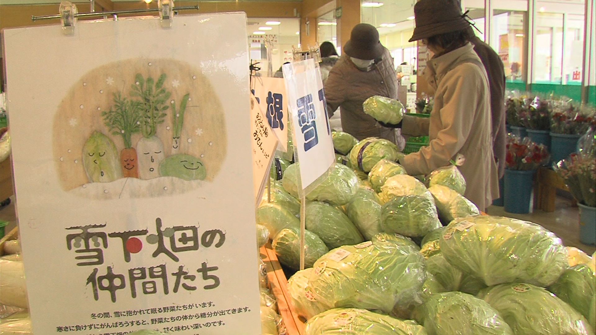 ブランド化へ本腰！雪下・雪室野菜のガイドライン完成