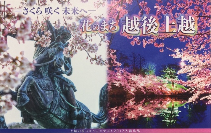 上越の桜を全国へ！オリジナル切手シート発売中