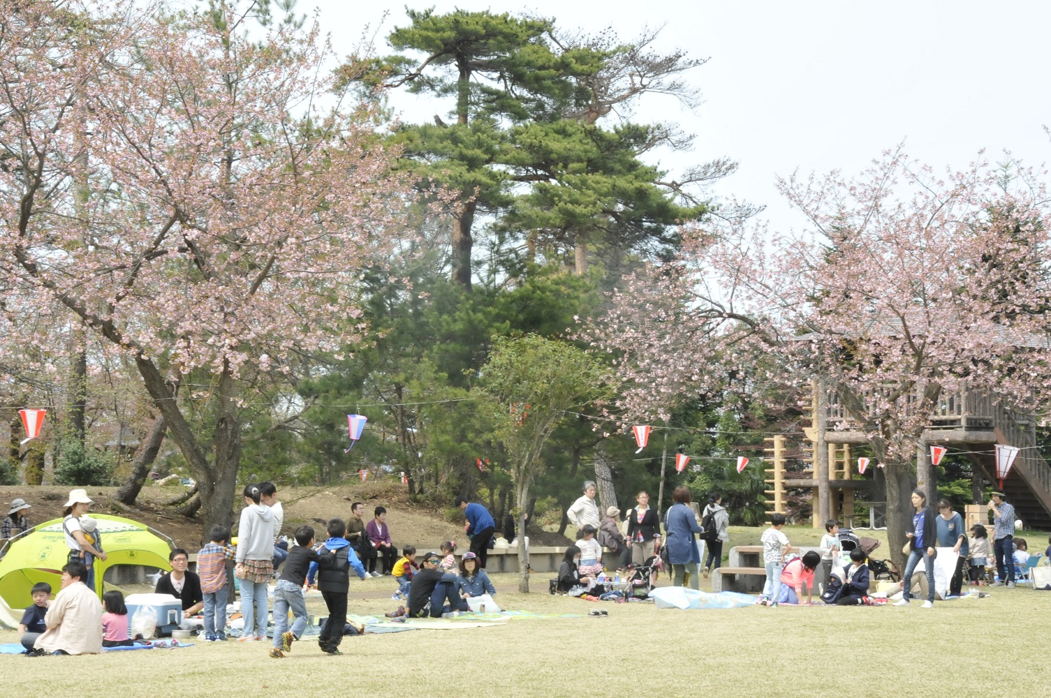 経塚山さくらまつり 4月14日･15日