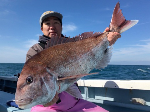 上越沖“マダイ”乗っ込み！3月～5月上旬