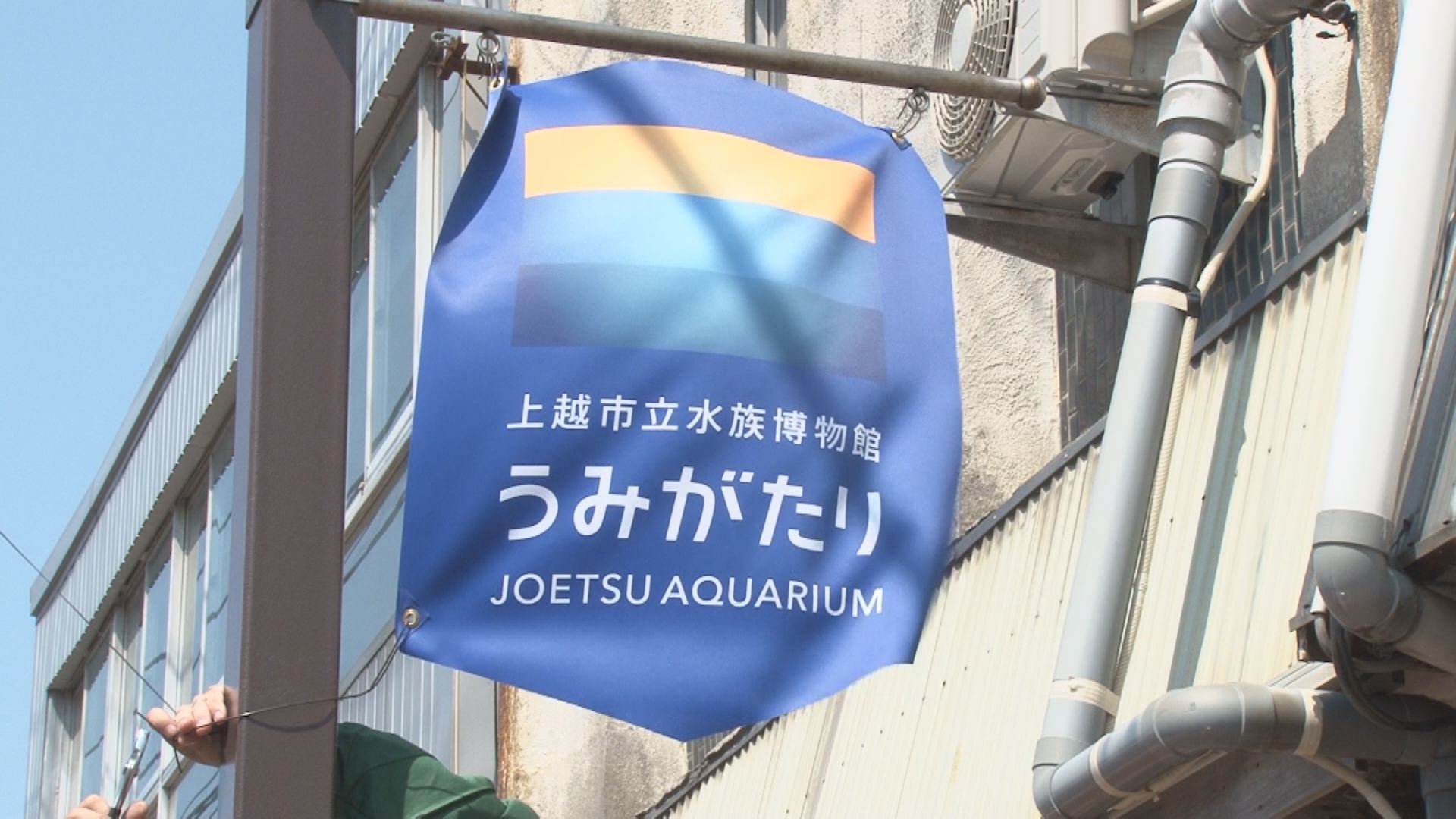 直江津商店街に“うみがたりＰＲフラッグ”
