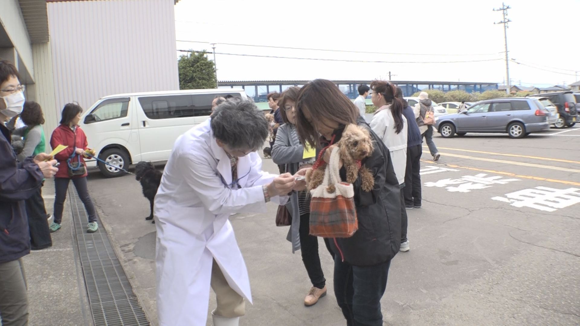 上越市で狂犬病予防接種はじまる