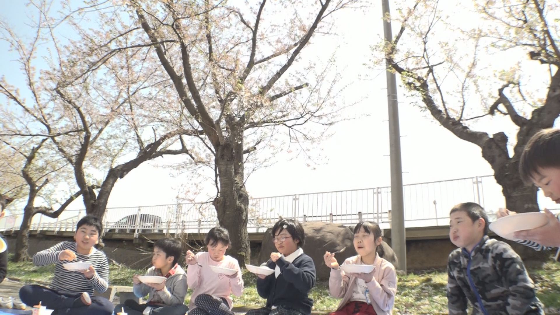 北諏訪小学校 恒例のお花見給食