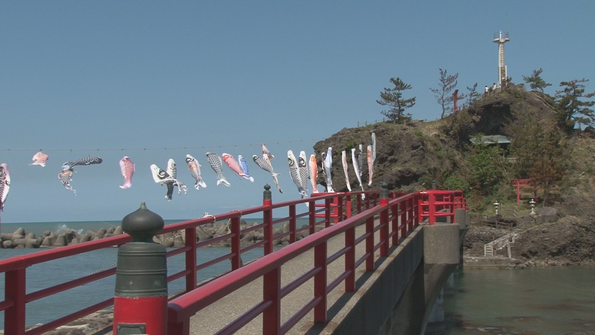 能生海岸 55匹 の“こいのぼり”泳ぐ