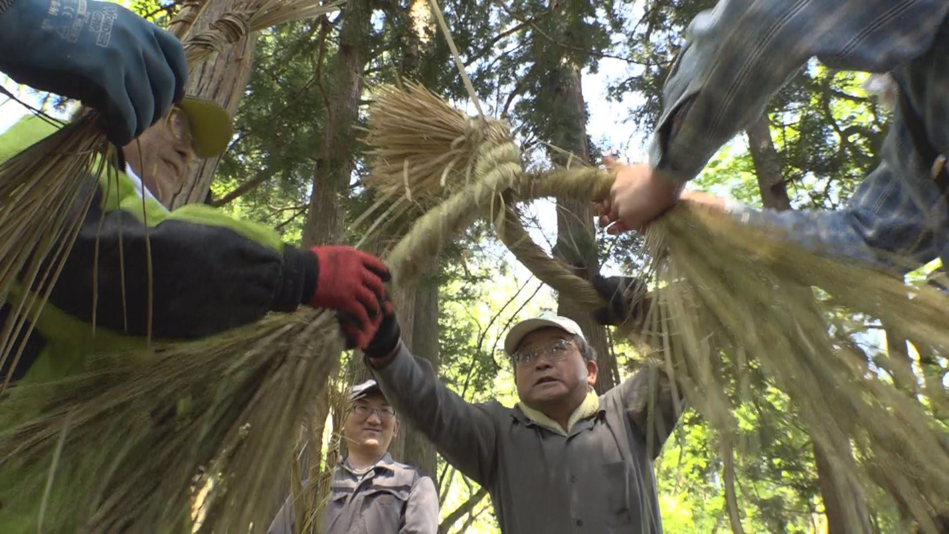 虫川大スギ元の姿に！ 春まつり前に住民がしめ縄作り