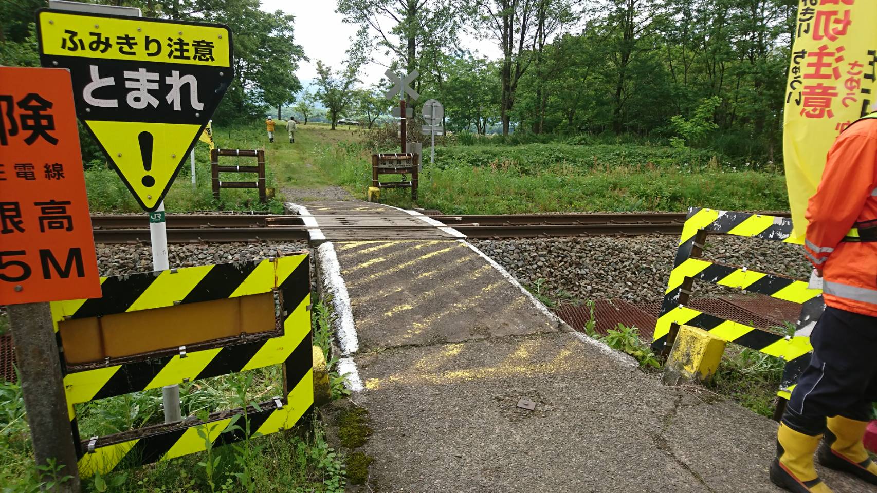 中郷区の踏切で電車と車が衝突 けが人なし
