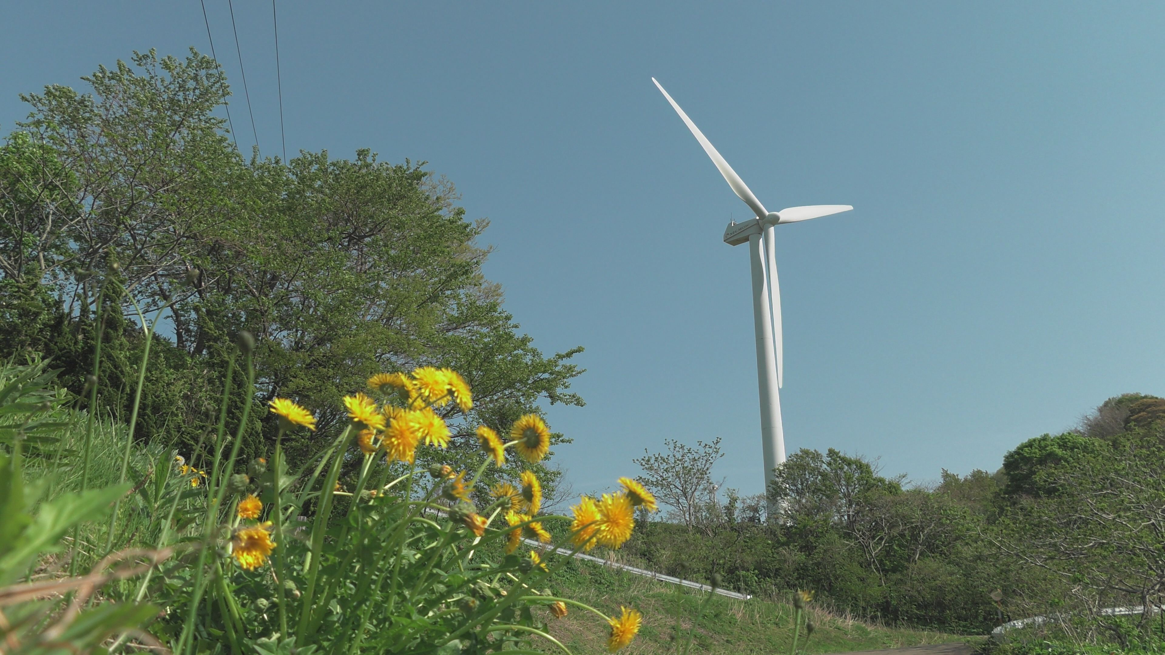 ＜動画＞三の輪台いこいの広場風力発電