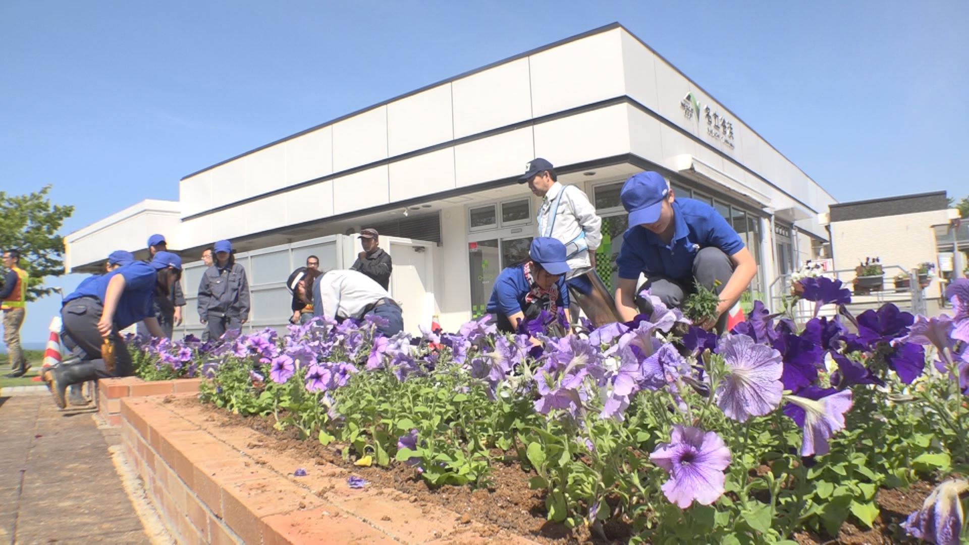 花でドライバーの心を癒そう！高校生が花壇に花植え
