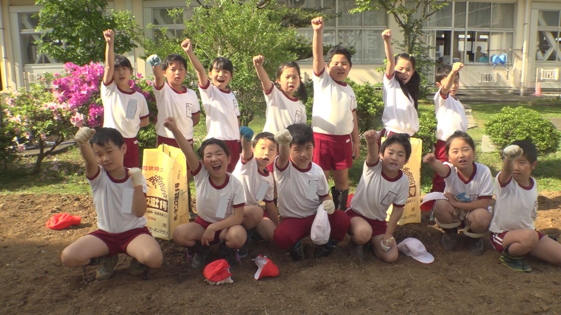 保倉小 ジャンボカボチャのコンテストに挑戦！