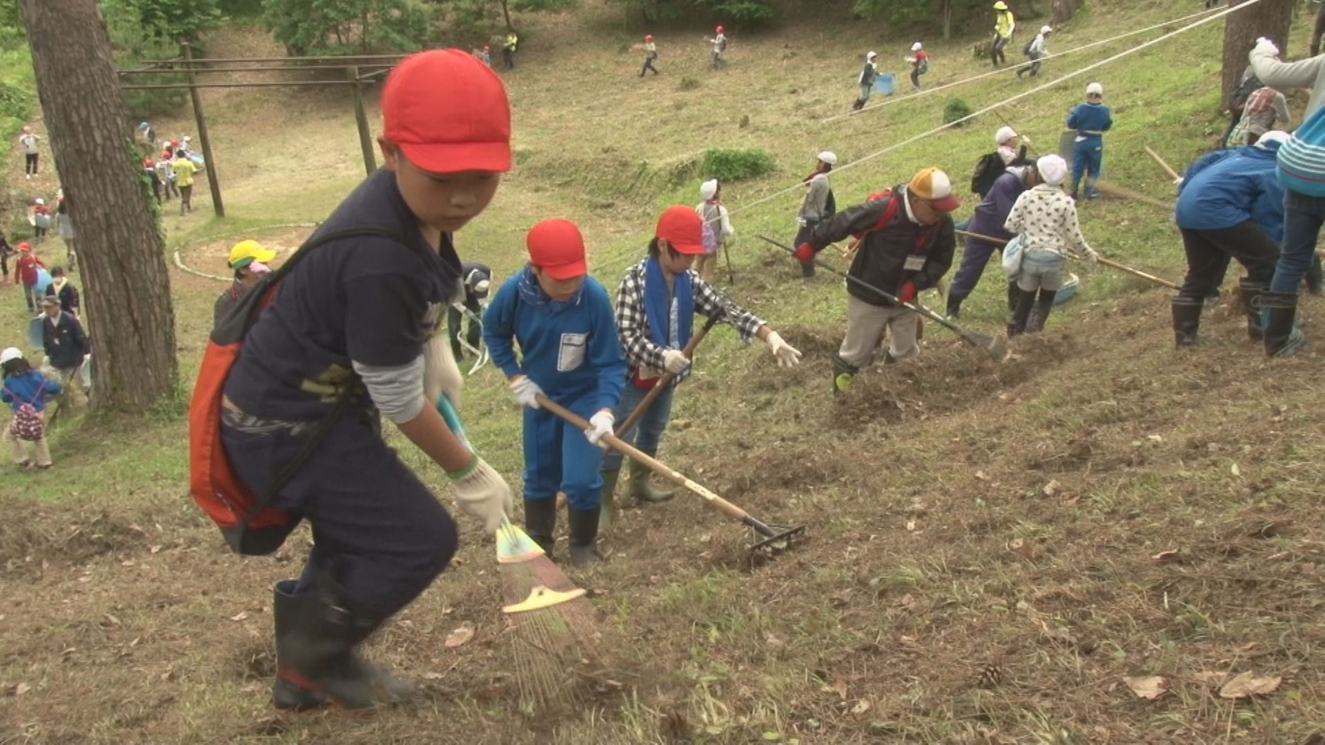 地域の宝をきれいに！春日山城跡で松林清掃