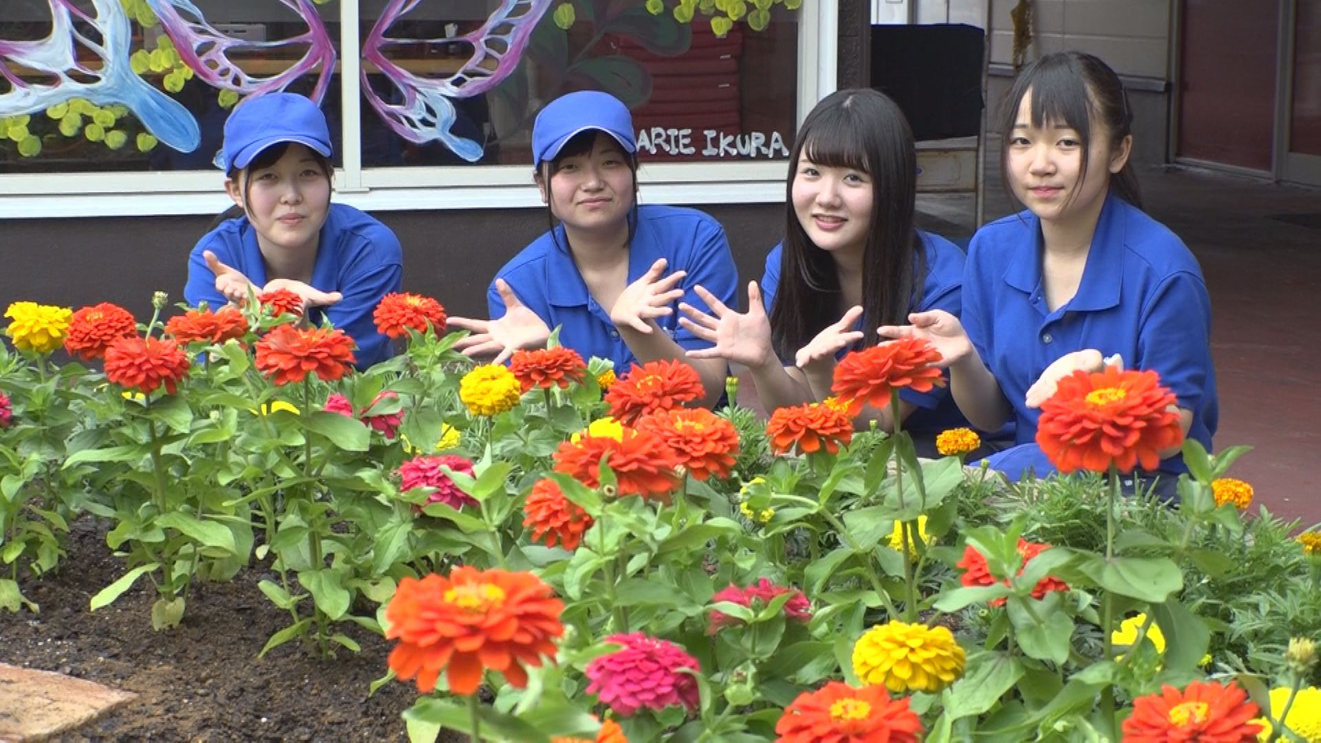 パティオ花壇が”夏”にリニューアル！インスタ映えします