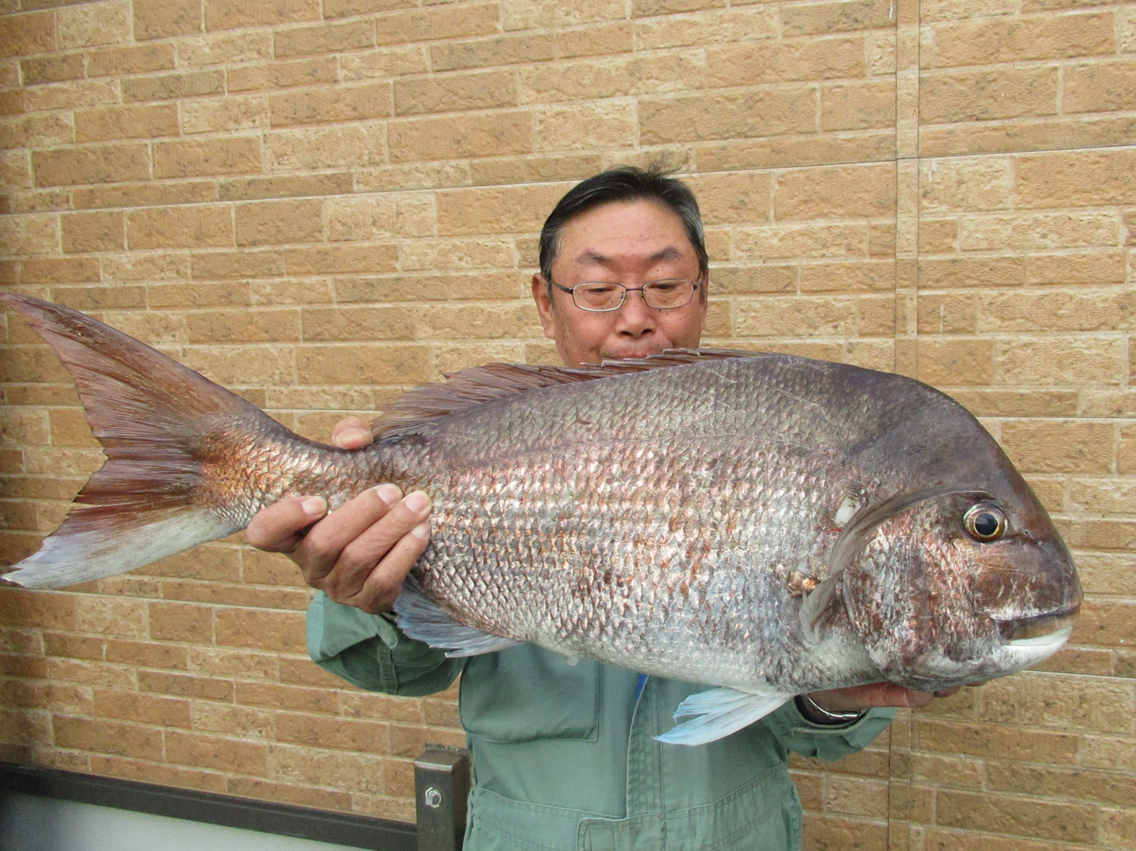 最新釣り情報！クロダイは本乗っ込み、キスも絶好調
