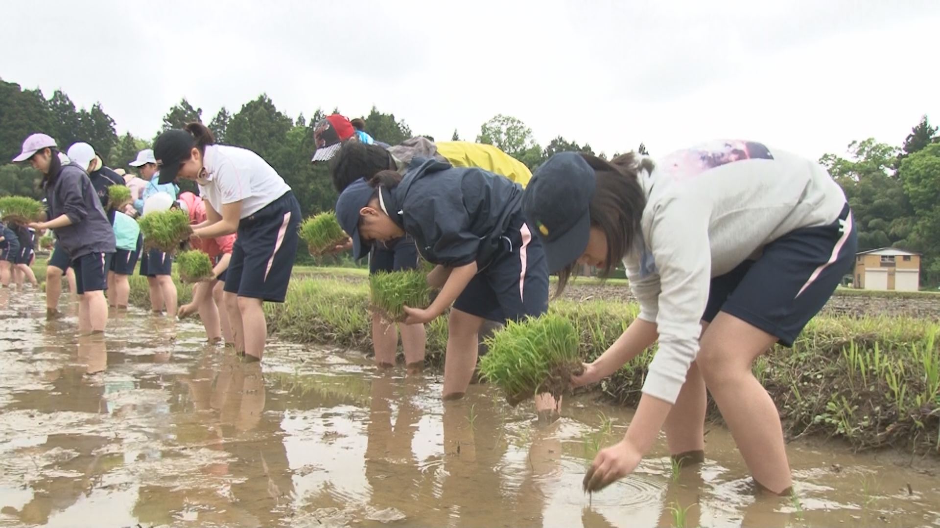 今年は20周年！越後田舎体験はじまる