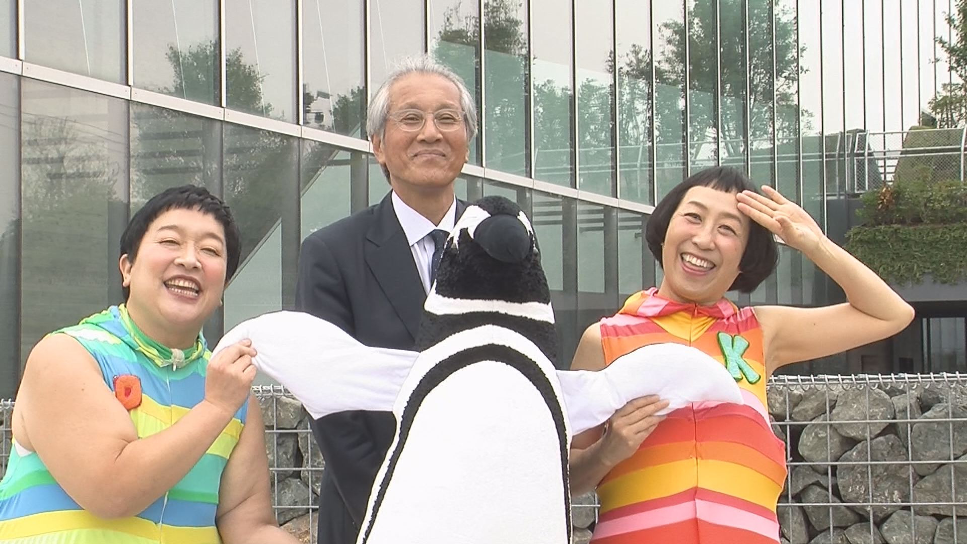 ケロポンズ！うみがたりでペンギンの踊り収録　