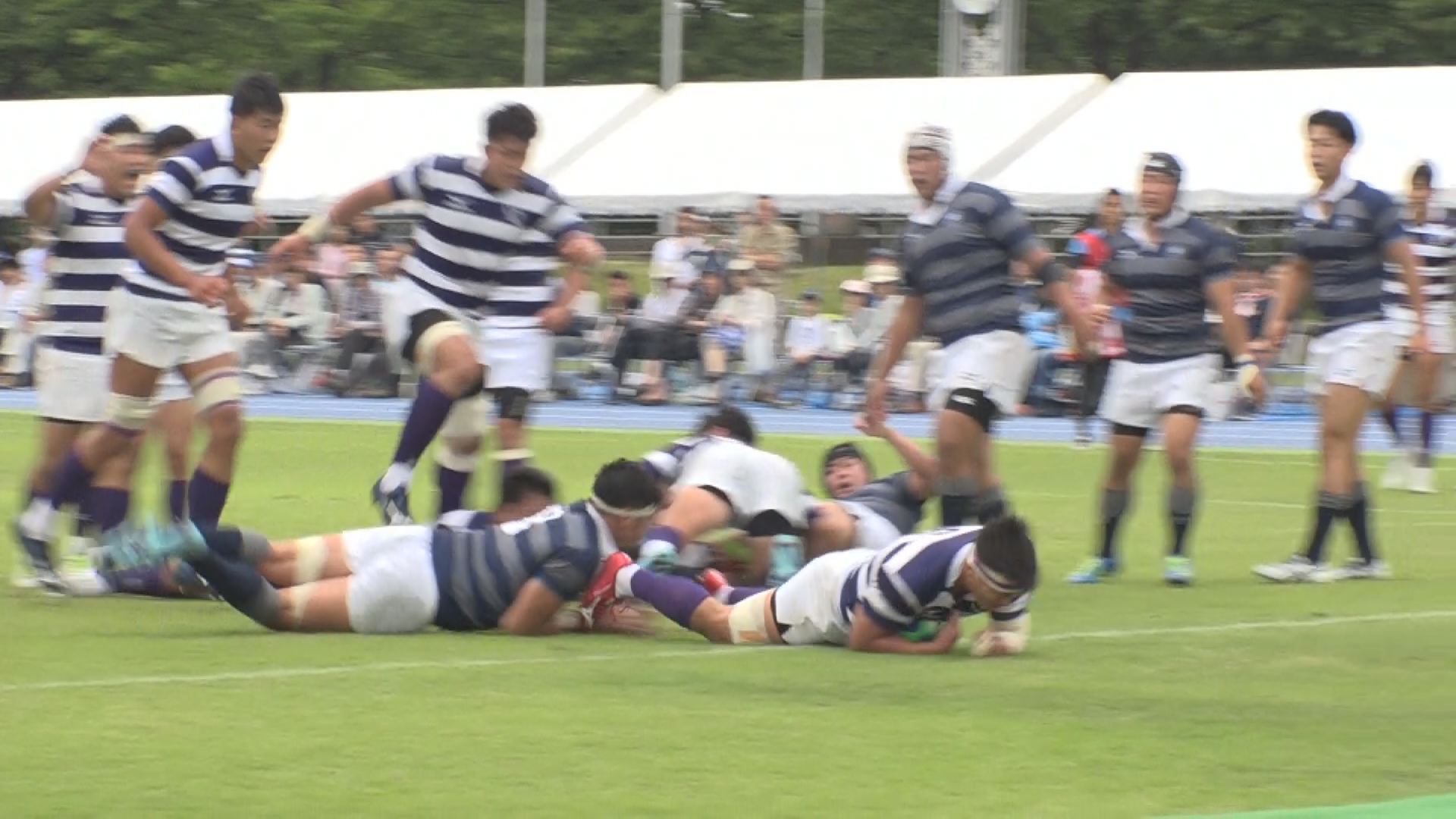上越市で初開催 大学ラグビー招待試合  明治vs同志社